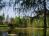 Obrázek - Pozemek s rybníky - Šenov - 7.310 m2