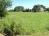Obrzek - Pozemek stavebn - Horn Such - 6 000 m2