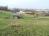 Stavebn pozemek - Dtmarovice - 1000 m2