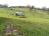 Stavebn pozemek - Dtmarovice - 1000 m2