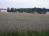 Pozemek stavebn - epit, Rakovec - 1 518 m2