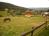 Prodej atraktivn�ho stavebn�ho pozemku v Zub�� 1056m2